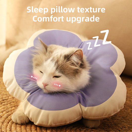 Cat sleeping comfortably in the soft flower recovery collar
