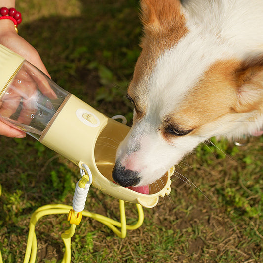 Dog drinking from the fold-out bowl of the walk bottle