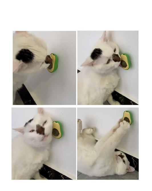 Cats licking and rubbing the avocado catnip ball on the wall