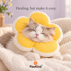 Cat sleeping comfortably in the yellow PawKind Soft Flower Recovery Collar