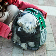 Small dog looking out of the PawKind Bubble Capsule Backpack