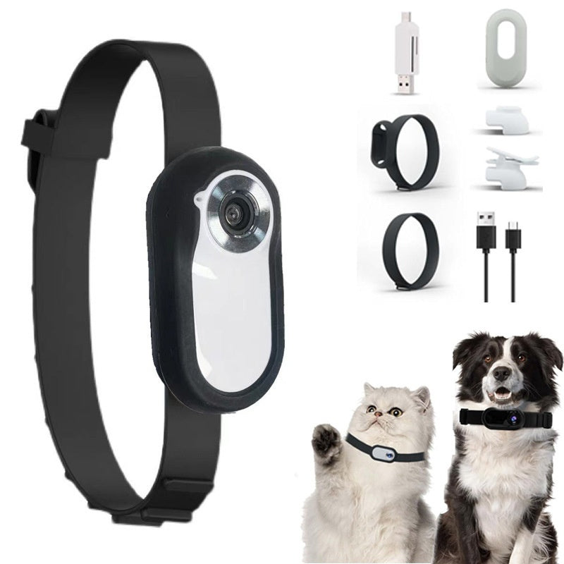 PawKind Pet POV Collar Camera on a dog collar
