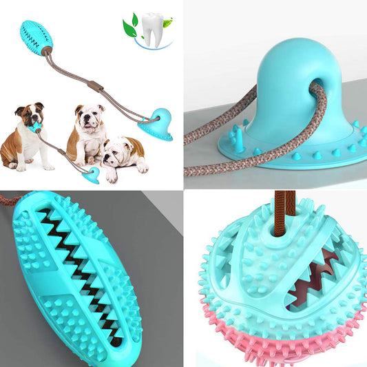 Strong suction base, textured ball and chew bone designs