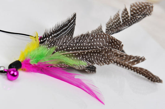 Colorful feathers and jingle bell close-up