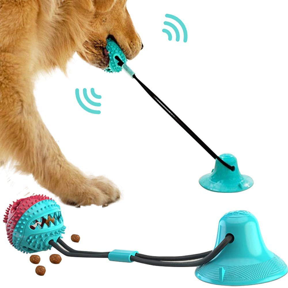 Dog playing tug with the PawKind Suction Cup Tug & Chew Toy