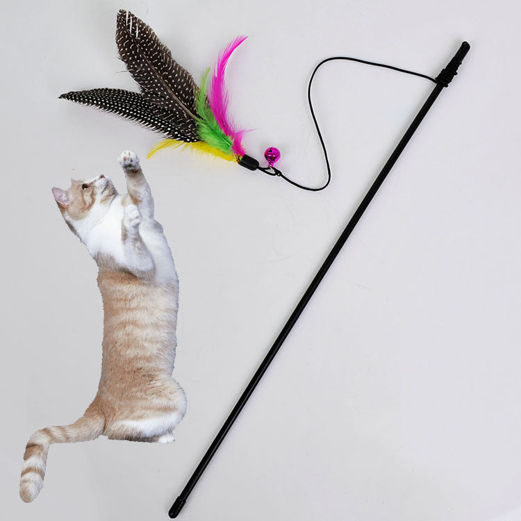 PawKind Feather Bird Cat Teaser Wand with a playful cat